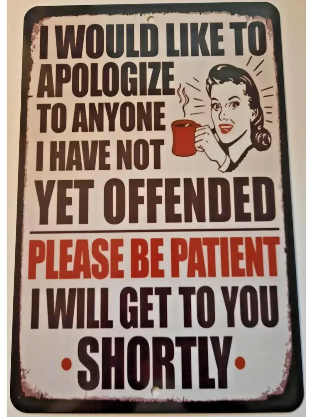 I Would Like To Apologize To Anyone I Have Not Yet Offended Metal Sign 12
